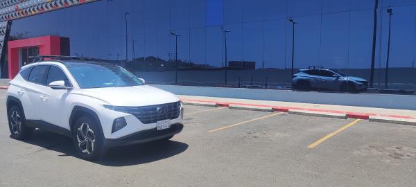 ��������:	IMG_20250411_115856.jpg
���������: 55
��������:	21.9 ��������