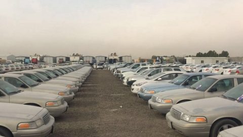 مزاد علني لسيارات المديرية العامة لحرس الحدود في السعودية
