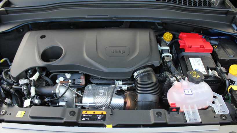 مراجعة جيب رينيجيد