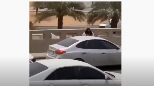 فيديو : ضبط مختل عقلياً يهاجم السيارات في الرياض