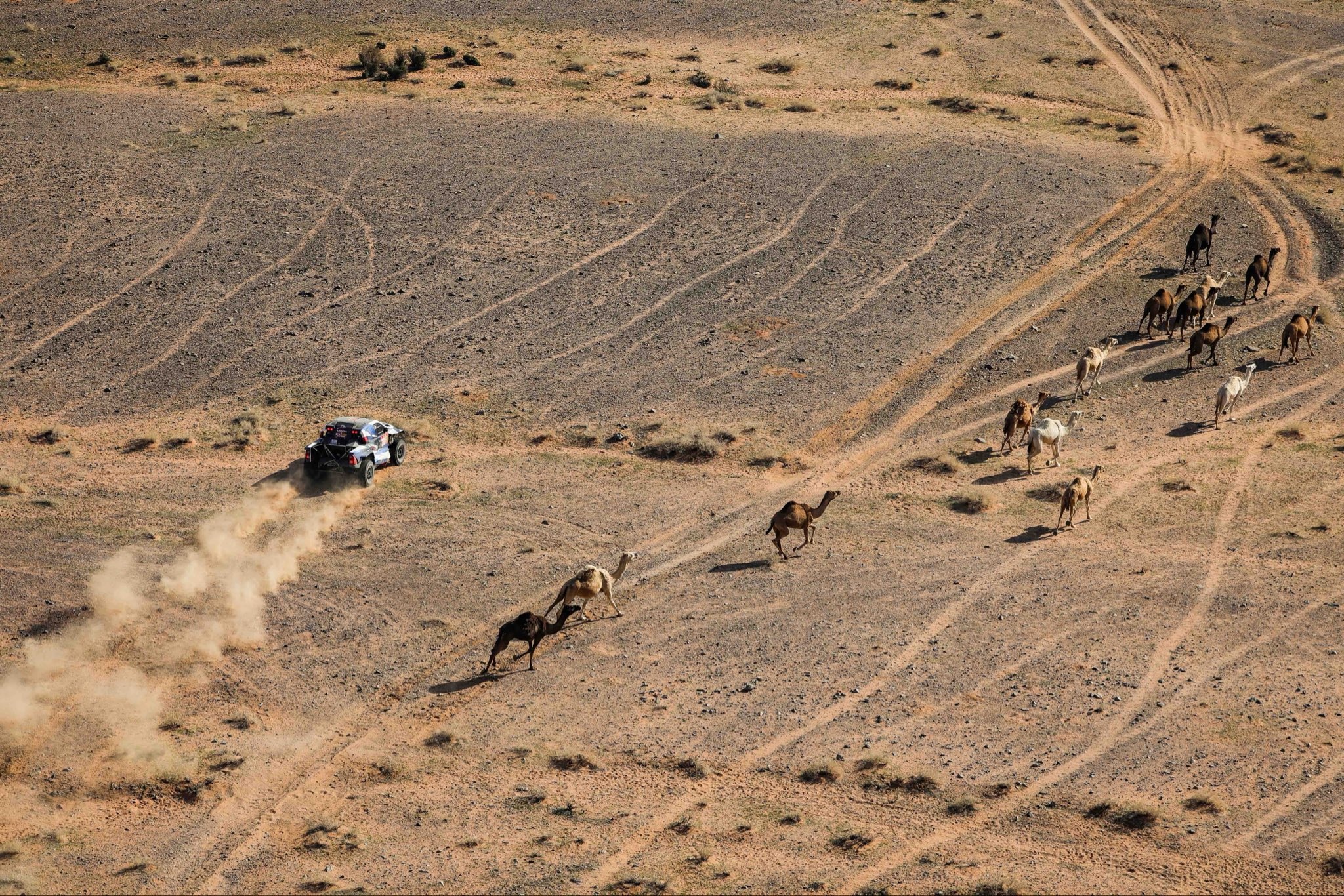 الكشف عن نتائج السائقين السعوديين في المرحلة الخامسة من رالي داكار
