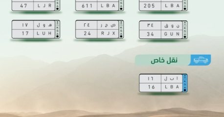 الإعلان عن مزاد لوحات سيارات في السعودية بمناسبة اليوم العالمي للإبل
