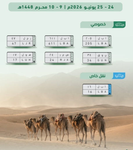 الإعلان عن مزاد لوحات سيارات في السعودية بمناسبة اليوم العالمي للإبل