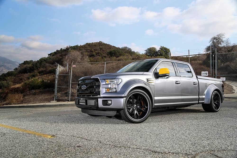 toot_1106215d68.jpg