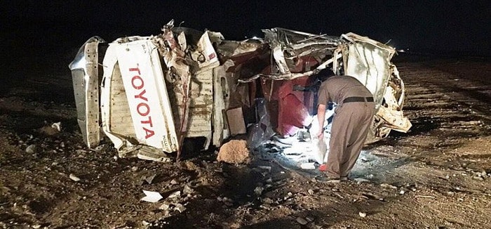 مجموعة من الجمال تودي بحياة 5 أشخاص بعد تحركها علي طريق خلال الليل